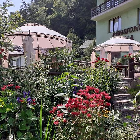 Pensiunea Ana Cavnic Exteriér fotografie